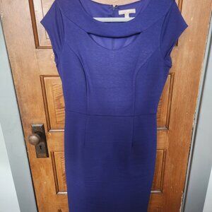 Blue Banana Republic Dress